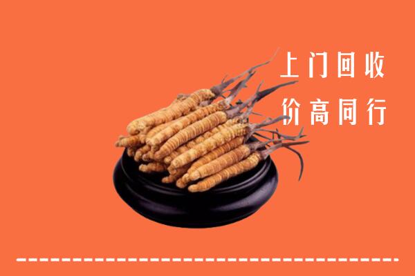 高价求购：康马县回收散虫草