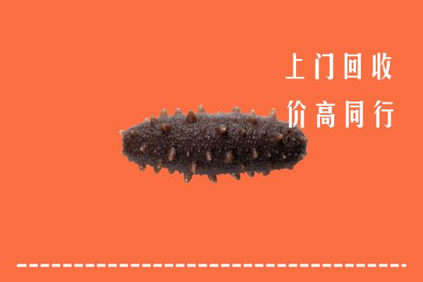 高价求购：康马县回收海参