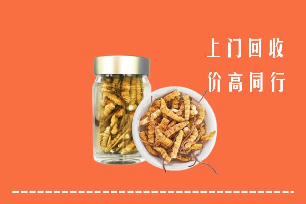 康马县回收冬虫夏草